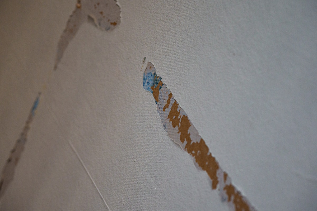 Storm Damage Repair service in Glendale, AZ