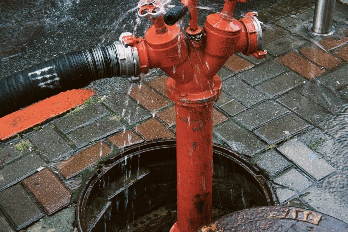 Water Extraction service in Glendale, AZ